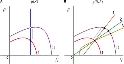 Ratio-Dependence in Predator-Prey Systems as an Edge and Basic Minimal Model of Predator Interference